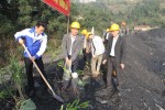 Đoàn Thanh niên Công ty than Hạ Long phát động Tết trồng cây “Đời đời nhớ ơn Bác Hồ”