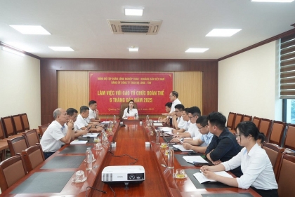 Đảng ủy Công ty Than Hạ Long làm việc với các tổ chức đoàn thể 6 tháng đầu năm 2025